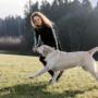 Wie Hund & Katz - Mag. Michaela Knosp