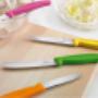 Victorinox Swissclassic Gemüsemesser