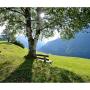 Hotel Gasthaus Steinerkogl 6290 Brandberg atemberaubende Aussicht auf 1.270m Seehöhe Hotel Gasthaus Steinerkogl 6290 Brandberg atemberaubende Aussicht auf 1.270m Seehöhe
