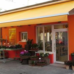 Die Blumenecke beim Schlingermarkt