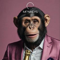 Monkeys Graz