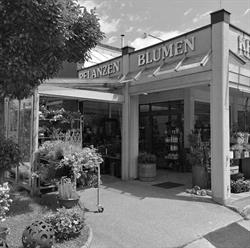Blumen Zeitlberger