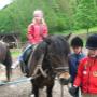 Reiten in Leogang im Salzburgerland - Appartement Steiner