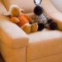 Kuscheltiere für unsere Kinder im Appartement Steiner in Leogang im Salzburgerland