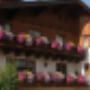 HAUS HEIDI / Sommer