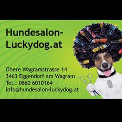 Hundesalon Luckydog