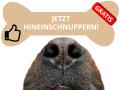 Schnupperkurs
