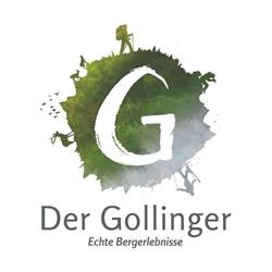 Hotel Gollinger Hof