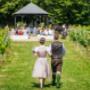 Hochzeit im Weingarten