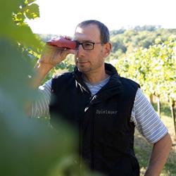 Spielauer Familienweingut