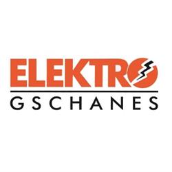 Elektro Gschanes