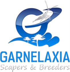 Garnelaxia - Matthias Jesenko
