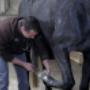 Tierärztliche Gemeinschaftspraxis Wieland & Fleischhacker 7222 Rohrbach bei Mattersburg Tierärztliche Gemeinschaftspraxis Wieland & Fleischhacker 7222 Rohrbach bei Mattersburg