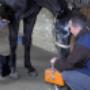 Tierärztliche Gemeinschaftspraxis Wieland & Fleischhacker 7222 Rohrbach bei Mattersburg Tierärztliche Gemeinschaftspraxis Wieland & Fleischhacker 7222 Rohrbach bei Mattersburg