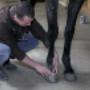 Tierärztliche Gemeinschaftspraxis Wieland & Fleischhacker 7222 Rohrbach bei Mattersburg Tierärztliche Gemeinschaftspraxis Wieland & Fleischhacker 7222 Rohrbach bei Mattersburg
