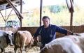 "Betreuung Ihrer Nutztiere"