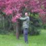 Matzer's Gartenservice mit Herz