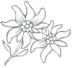 EDELWEISS APOTHEKE