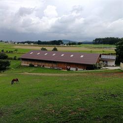 Pferdehof Hennerbichler