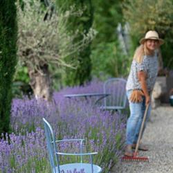 Südsteiermark Garten Polz Renate