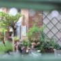 Blick in den Gastgarten des Wiener Rösthaus im Prater mit Sitzplätzen unter Bäumen – entspannter Ort für Kaffee und Kuchen in Wien.