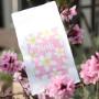 Kaffeepackung „Bali“ aus dem Wiener Rösthaus im Prater, dekorativ zwischen rosa Blüten inszeniert. Spezialitätenkaffee mit frischer Röstung, stilvolle Präsentation und hochwertiger Kaffee für Genießer in Wien.