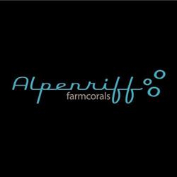 Alpenriff