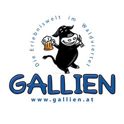 Freizeitanlage Gallien Fam Toifl