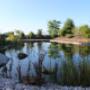 schwimmteich roitham am traunfall schwimmteich roitham am traunfall