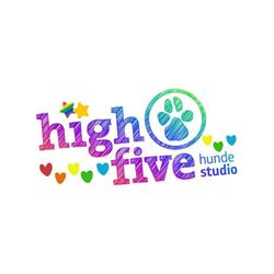 high five hundestudio