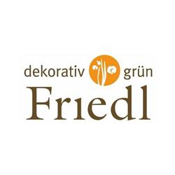 Friedl dekorativ grün