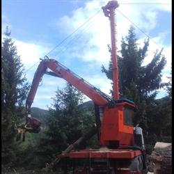 HOLZ TOLAN Adrian