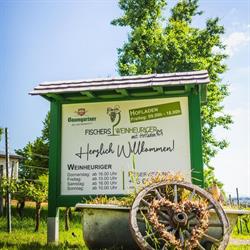 Fischer's Weinheuriger OG