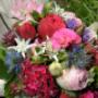 Blumen Tau Tauber