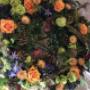 Blumen Tau Tauber