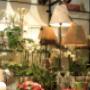 Blumen Tau Tauber