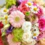 Blumen Tau Tauber
