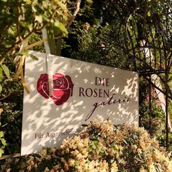 Die Rosengalerie