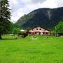MusterAlpe Plansee MusterAlpe Plansee