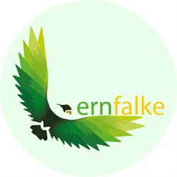 Lernfalke