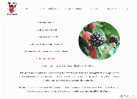 Website von Hindberry Fruchtwein e.U.
