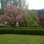 Pfeifer Dienstleistungen - Rasen-Gartenservice-Winterdienst 8143 Pfeifer Dienstleistungen - Rasen-Gartenservice-Winterdienst 8143