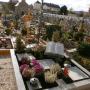 Friepess A M Steinmetzbetriebe GesmbH Friepess A M Steinmetzbetriebe GesmbH