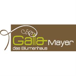 Galla-Mayer Blumenhaus