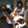 Reiki Behandlung Reiki Behandlung