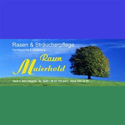 Rasen Maierhold