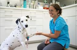 Tierärztin Dr. Laura Rebuzzi