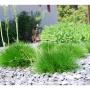 Gartengestaltung Ing. Sattler