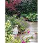 Gartengestaltung Ing. Sattler