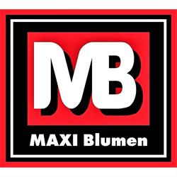 MAXI Blumen